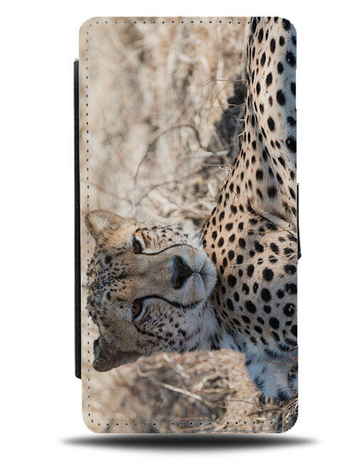 Cheetah Laying Down Flip Wallet Case Lying Chilling Cheetahs Picture Face H924