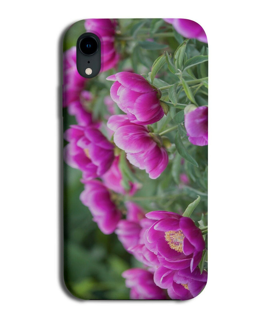 Dark Purple Pink Cyclamen Picture Phone Case Cover Photo Flower Flowers G674