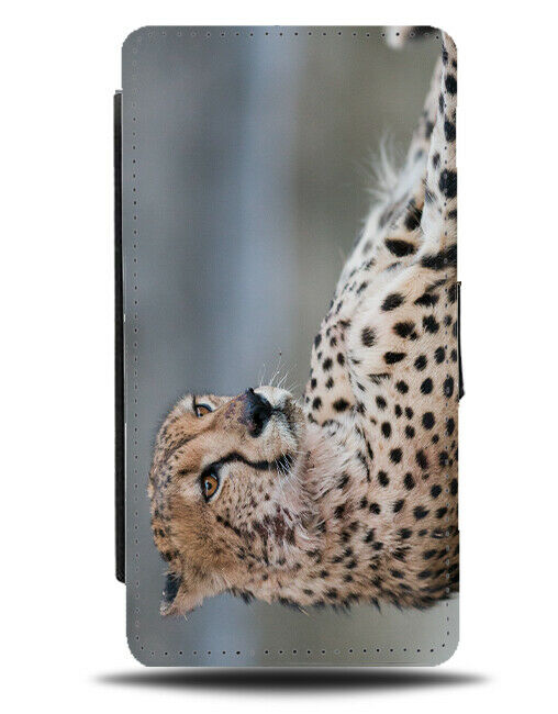 Cheetah Photograph Flip Wallet Case Cheetahs Photo Picture Spots H913